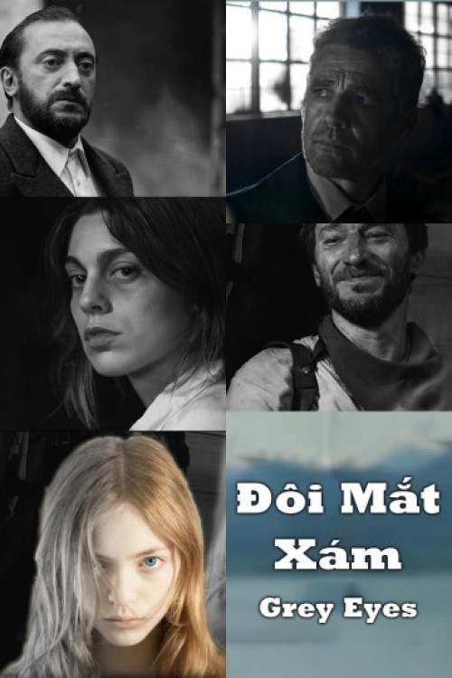 Đôi Mắt Xám 2018