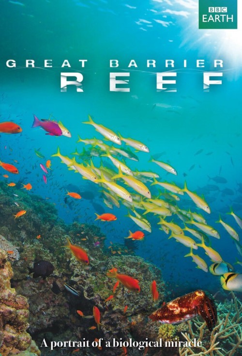 Great Barrier Reef 2012