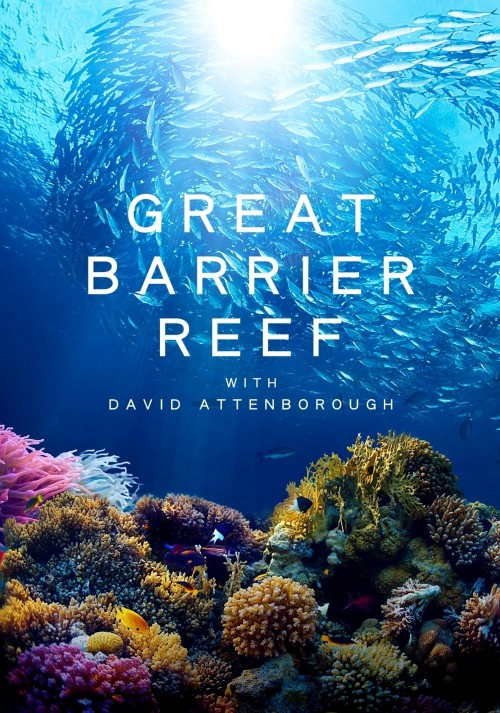 Khám Phá Rạn San Hô Great Barrier cùng David Attenborough 2015